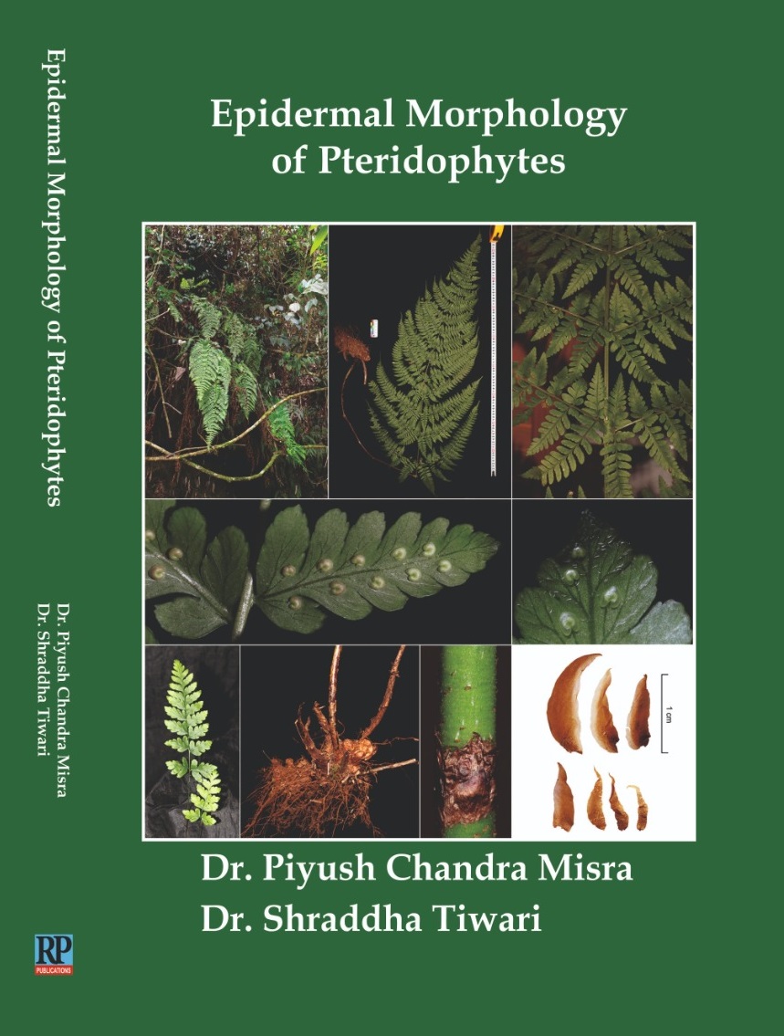 Epidermal Morphology of Pteridophytes
